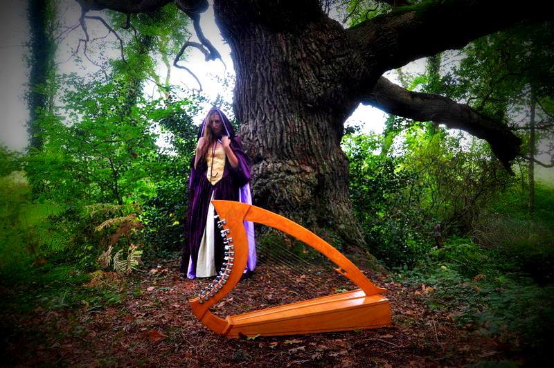 Chanteuse Harpiste Celtique